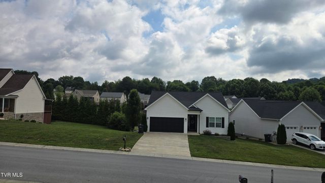 170 Brighton Place, Bristol, TN 37620