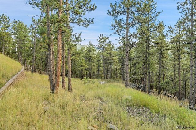 2317 Wieler Road, Evergreen, CO 80439