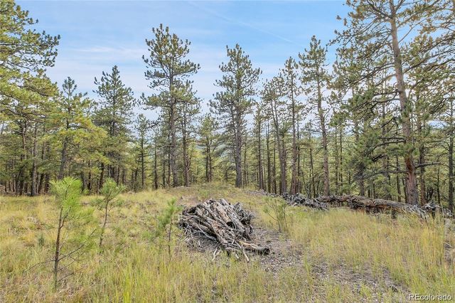 2317 Wieler Road, Evergreen, CO 80439