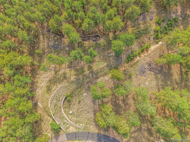 2317 Wieler Road, Evergreen, CO 80439