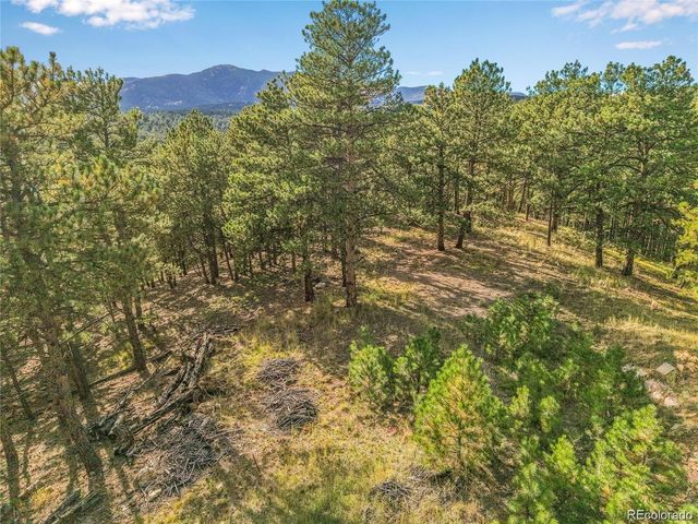 2317 Wieler Road, Evergreen, CO 80439