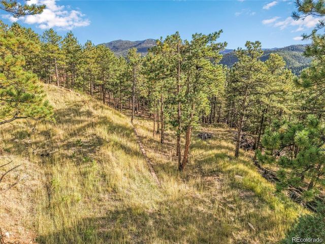 2317 Wieler Road, Evergreen, CO 80439