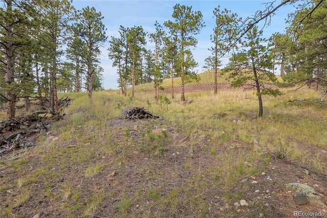 2317 Wieler Road, Evergreen, CO 80439