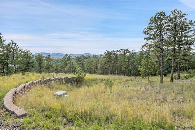 2317 Wieler Road, Evergreen, CO 80439