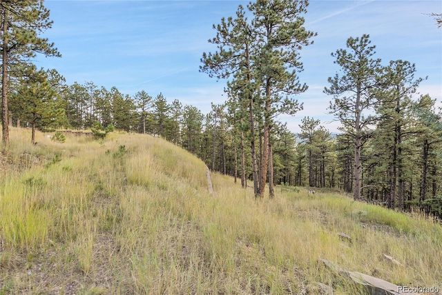 2317 Wieler Road, Evergreen, CO 80439