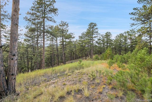 2317 Wieler Road, Evergreen, CO 80439
