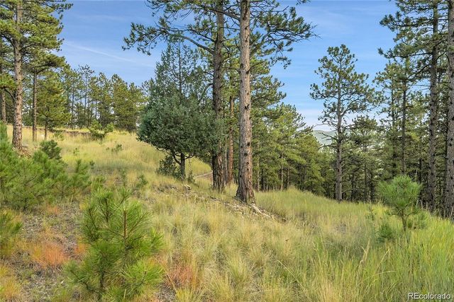 2317 Wieler Road, Evergreen, CO 80439