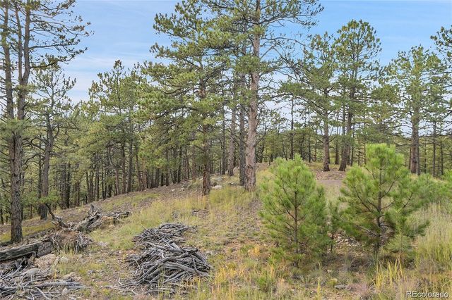 2317 Wieler Road, Evergreen, CO 80439