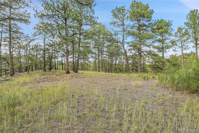 2317 Wieler Road, Evergreen, CO 80439