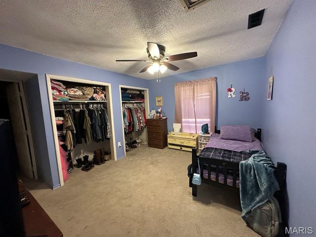 280 N E L Hawk Street, Puxico, MO 63960