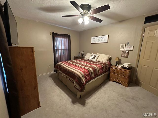 280 N E L Hawk Street, Puxico, MO 63960