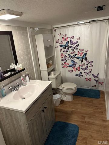 280 N E L Hawk Street, Puxico, MO 63960