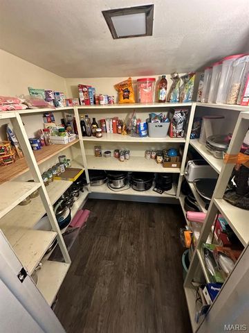 280 N E L Hawk Street, Puxico, MO 63960