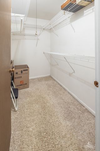 8216 Mulberry Court 8A, Palos Hills, IL 60465