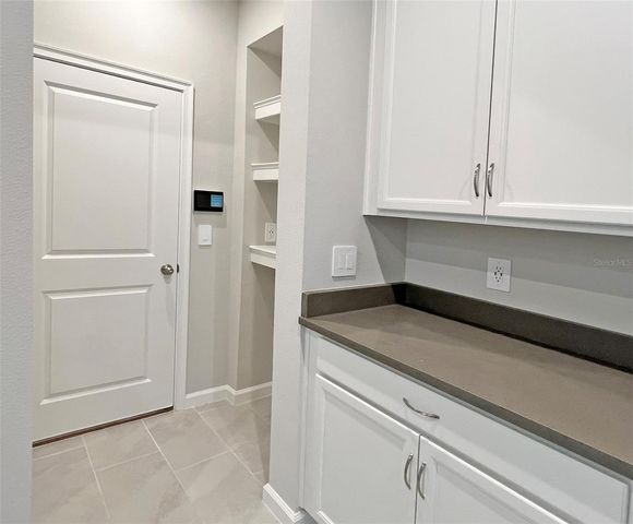 3228 SUNRISE SPRING PLACE, Brandon, FL 33511