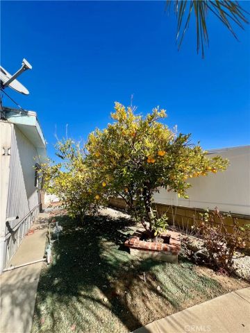 30615 Arenga Palm, Homeland, CA 92548