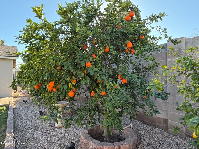 4140 W PARADISE Drive, Phoenix, AZ 85029