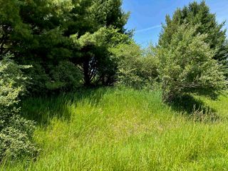 Lot 158 Wellington Road, Gladwin, MI 48624