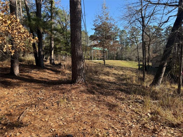 310 Oakwood Lane, Trinity, TX 75862