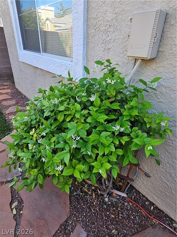 9116 Hampstead Avenue, Las Vegas, NV 89145