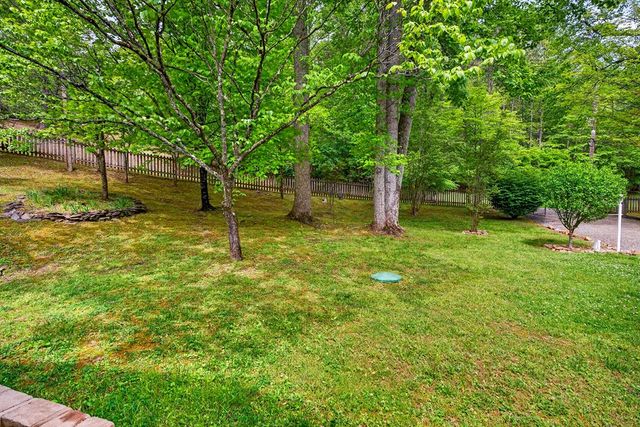 401 Mountain Rivers Road, Mineral Bluff, GA 30559