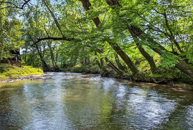 401 Mountain Rivers Road, Mineral Bluff, GA 30559
