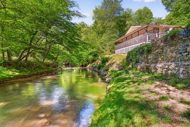 401 Mountain Rivers Road, Mineral Bluff, GA 30559