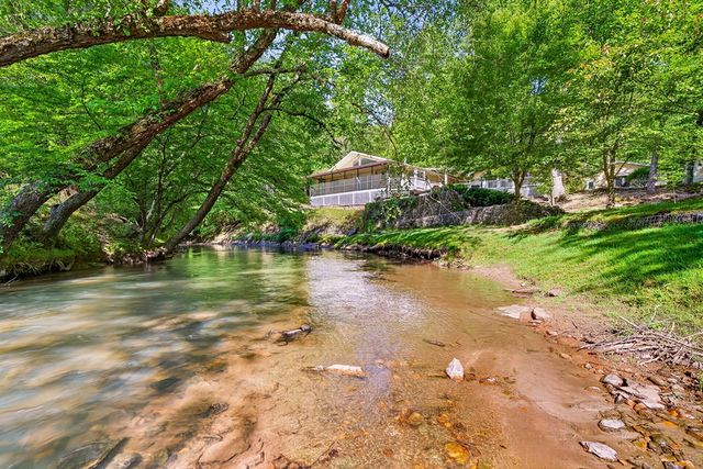 401 Mountain Rivers Road, Mineral Bluff, GA 30559