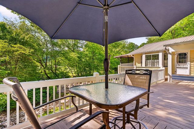 401 Mountain Rivers Road, Mineral Bluff, GA 30559