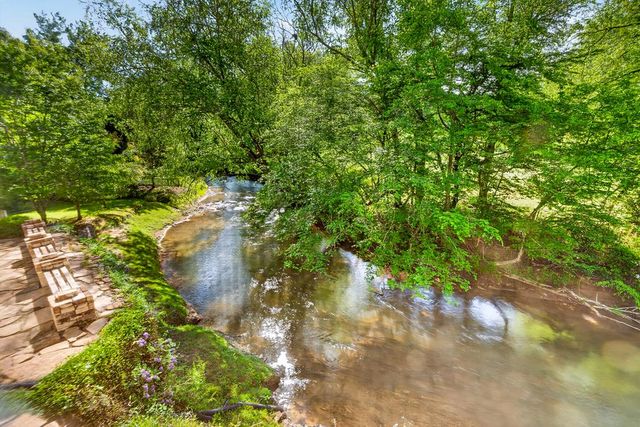 401 Mountain Rivers Road, Mineral Bluff, GA 30559