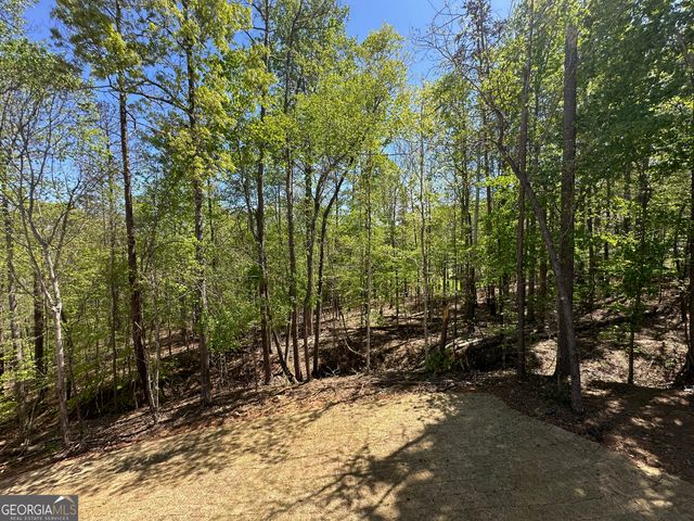 66 Pine Creek Court LOT 73, Dallas, GA 30157