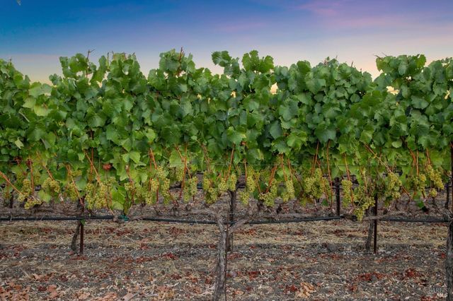 4125 Big Ranch Rd, Napa, CA 94558