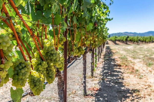 4125 Big Ranch Rd, Napa, CA 94558