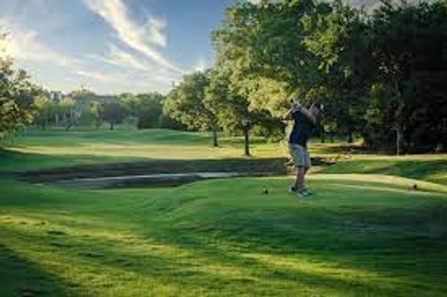 1004 White Bluff Drive, Whitney, TX 76692