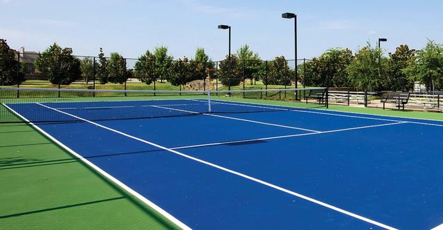 760 Bradford Street, Lantana, TX 76226