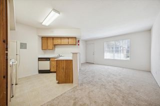 1660 W T C Jester Boulevard 205, Houston, TX 77008