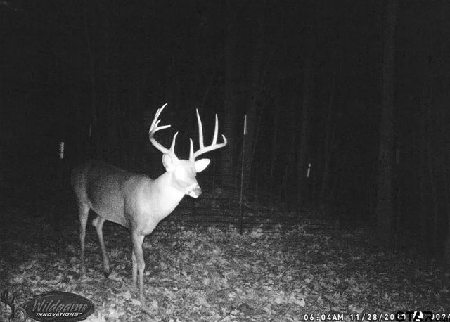 5000 FM 315 S, Chandler, TX 75758