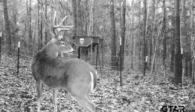 5000 FM 315 S, Chandler, TX 75758