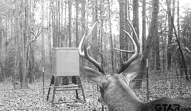 5000 FM 315 S, Chandler, TX 75758