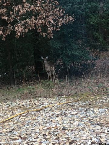 5000 FM 315 S, Chandler, TX 75758