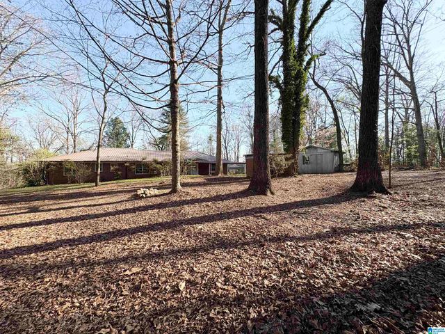 144 COACHS LANE, Alexandria, AL 36250