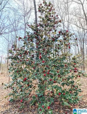 144 COACHS LANE, Alexandria, AL 36250