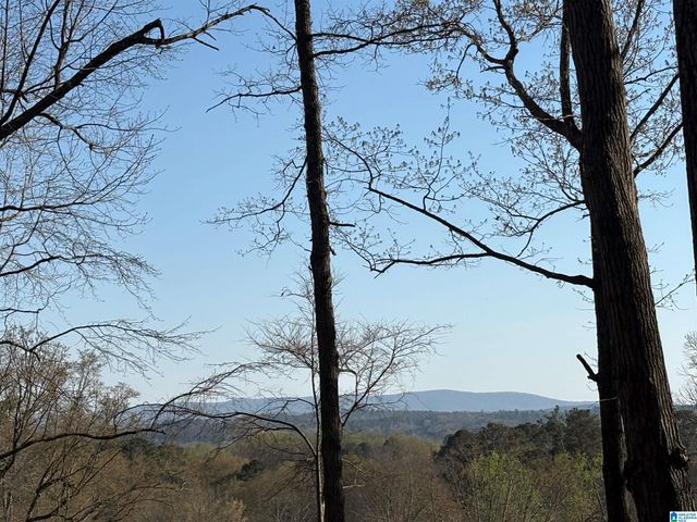 144 COACHS LANE, Alexandria, AL 36250