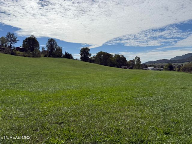 Tower St, Harrogate, TN 37752