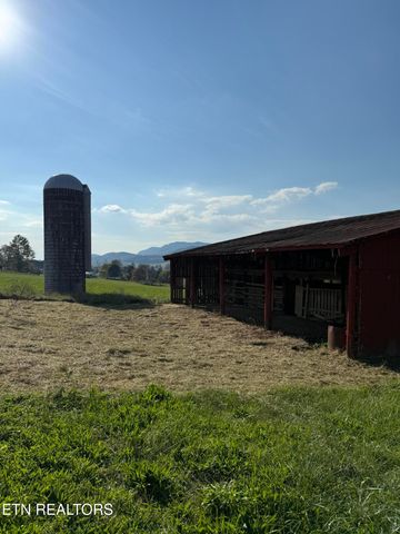 Tower St, Harrogate, TN 37752