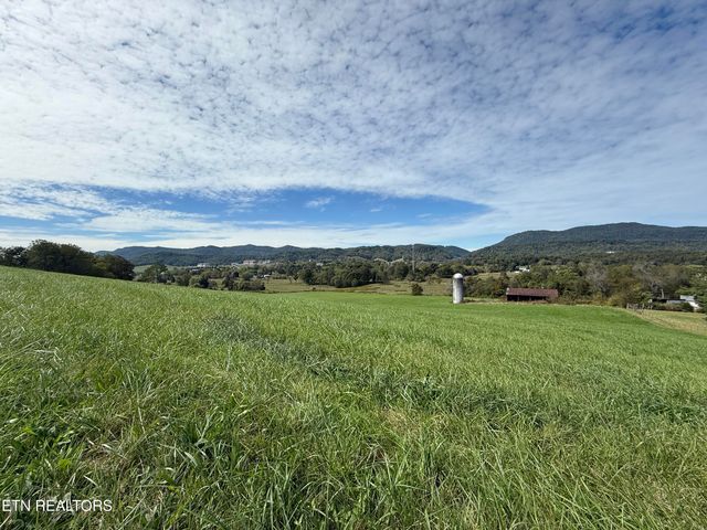 Tower St, Harrogate, TN 37752