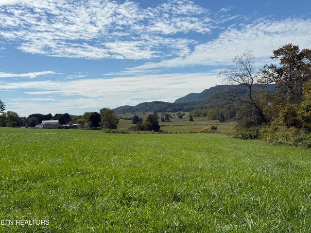 Tower St, Harrogate, TN 37752