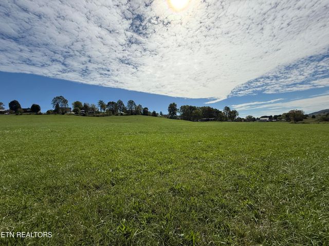 Tower St, Harrogate, TN 37752