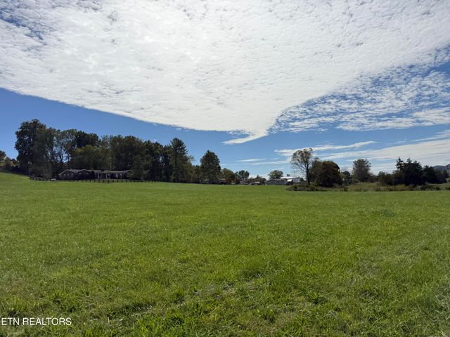 Tower St, Harrogate, TN 37752