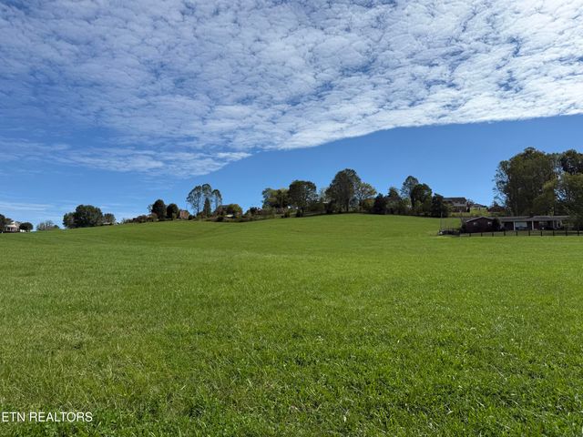 Tower St, Harrogate, TN 37752